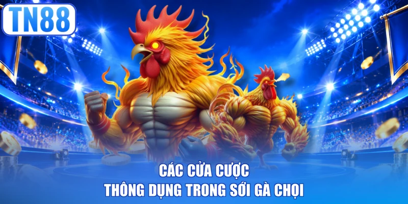 Các cửa cược thông dụng trong sới gà chọi