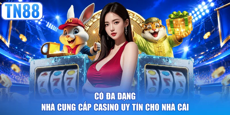Có đa dạng nhà cung cấp casino uy tín cho nhà cái