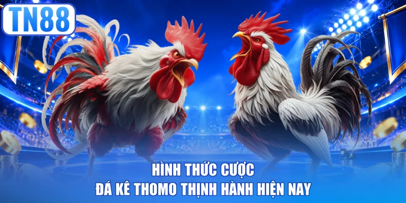 Hình thức cược đá kê Thomo thịnh hành hiện nay