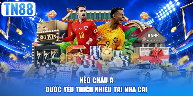 Kèo châu Á được yêu thích nhiều tại nhà cái 