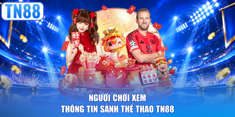 Người chơi xem thông tin sảnh thể thao TN88