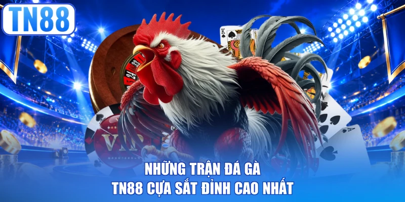 Những trận đá gà TN88 cựa sắt đỉnh cao nhất