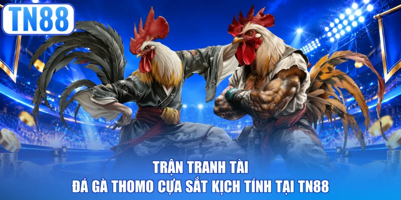 Trận tranh tài đá gà Thomo cựa sắt kịch tính tại TN88